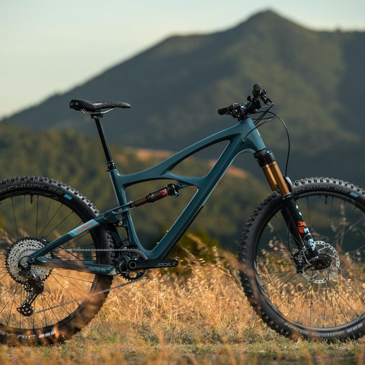 Ibis mountain store bikes